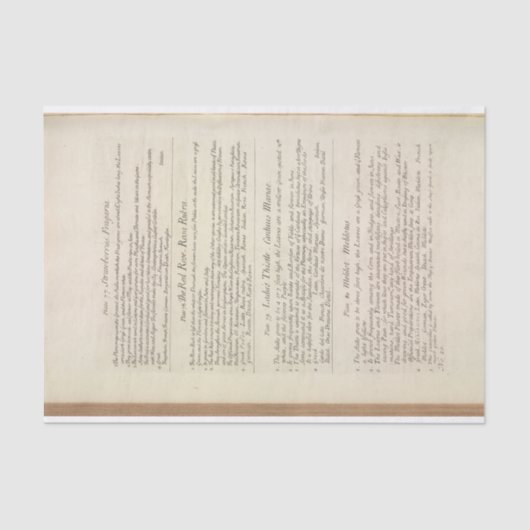 Pagina van een nieuwsgierig kruidenverhaal van Eli Tissuepapier (Voorkant)