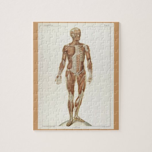 Paginaboek over anatomie uit het verleden legpuzzel (Verticaal)