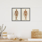 Pagina's uit een oude anatomieboek poster (Keuken)