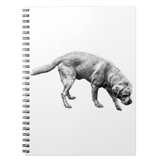 Pagina's van Devotion Notitieboek (Voorkant)