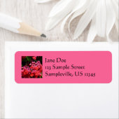 Pagoda Flowers Colorful Red en Roze Etiket (Insitu)