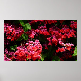 Pagoda Flowers Colorful Red en Roze Poster