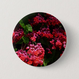 Pagoda Flowers Colorful Red en Roze Ronde Button 5,7 Cm