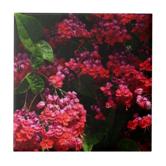 Pagoda Flowers Colorful Red en Roze Tegeltje (Voorkant)