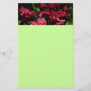 Pagode Bloemen Kleurig Rood en Roze Briefpapier