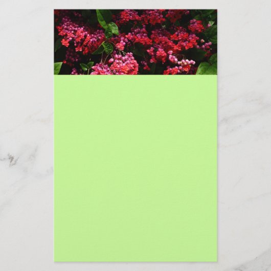 Pagode Bloemen Kleurig Rood en Roze Briefpapier (Voorkant)