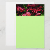Pagode Bloemen Kleurig Rood en Roze Briefpapier (Voorkant / Achterkant)