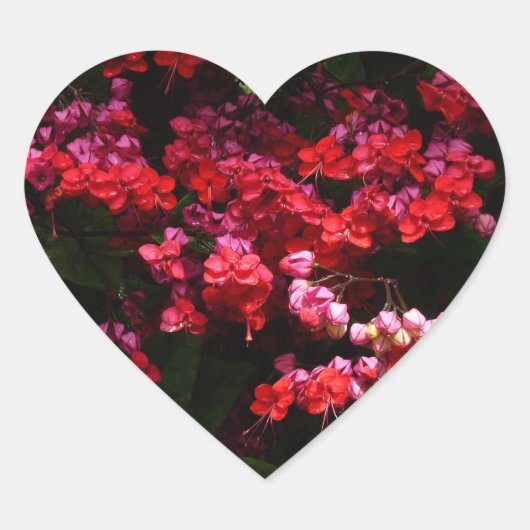 Pagode Bloemen Kleurig Rood en Roze Hart Sticker (Voorkant)