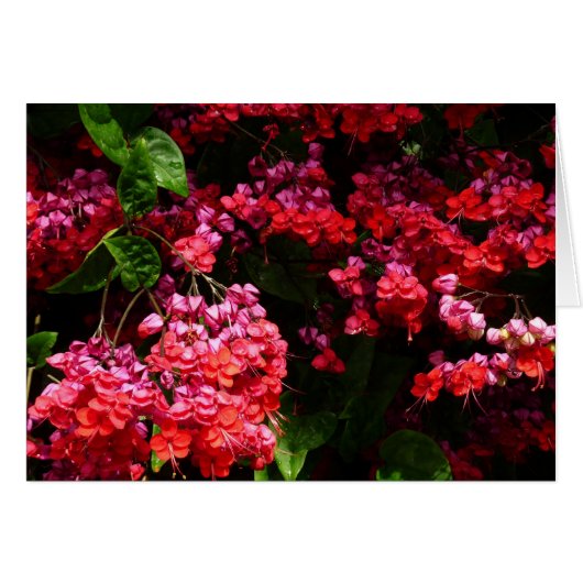 Pagode Bloemen Kleurrijk Rood en Roze (Voorkant Horizontaal)