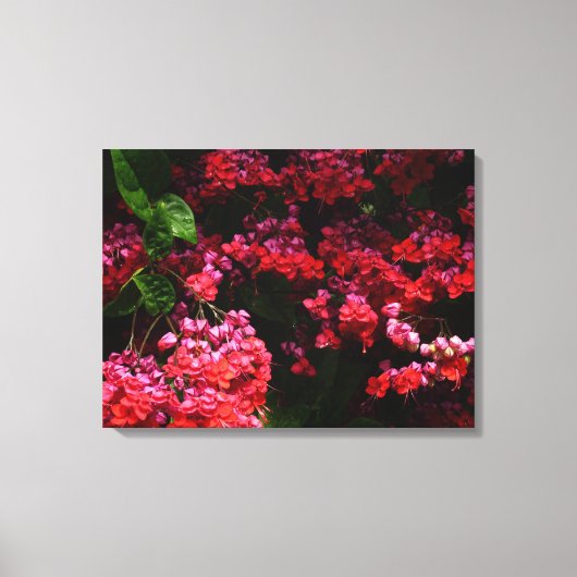 Pagode Bloemen Kleurrijk Rood en Roze Canvas Afdruk (Voorkant)