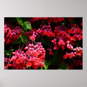 Pagode Bloemen Kleurrijk Rood en Roze Poster
