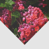 Pagode Bloemen Kleurrijk Rood en Roze Tissuepapier (Detail)