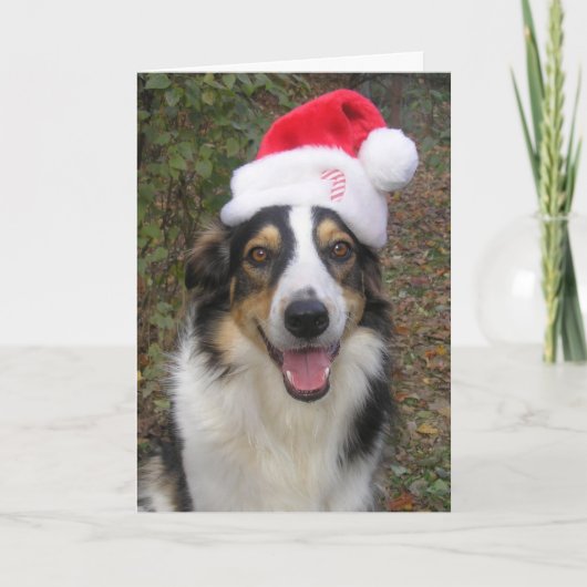 "Paige speelt Santa!" Feestdagen Kaart (Voorkant)