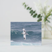 Paille-en-Queue Briefkaart (Staand voorkant)