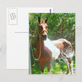 Paint Bath Briefkaart (Voorkant / Achterkant)