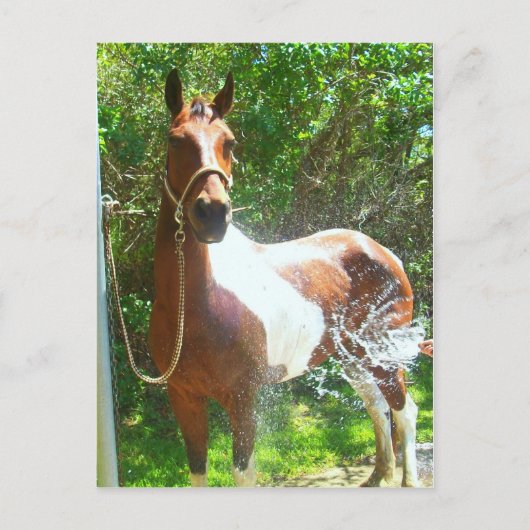 Paint Bath Briefkaart (Voorkant)