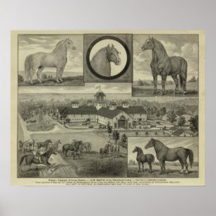 Paint Creek stock Boerderij, Hiattville, Kansas Poster