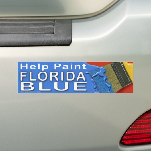 Paint Florida Blue Bumpersticker 2 (Op auto)