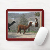 Paint Horse Alpaca Mousepad Muismat (Met muis)