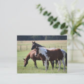 Paint Horse and Friends Briefkaart (Staand voorkant)