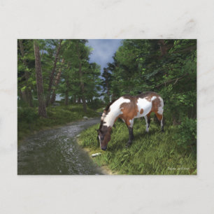Paint Horse beroemd gemaakt door The Forest Stream Briefkaart