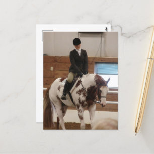 Paint Horse bij een Show Briefkaart