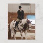 Paint Horse bij een Show Briefkaart (Voorkant)
