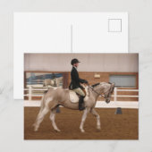 Paint Horse bij een Show Briefkaart (Voorkant / Achterkant)
