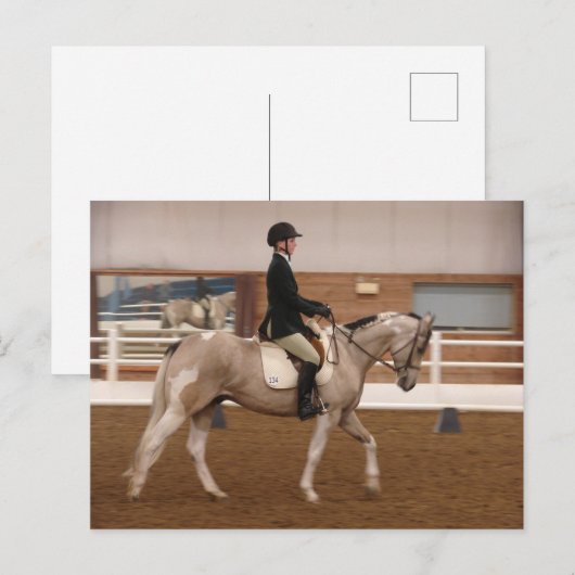 Paint Horse bij een Show Briefkaart (Voorkant / Achterkant)