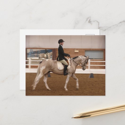 Paint Horse bij een Show Briefkaart (Voorkant / Achterkant in situ)