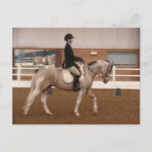 Paint Horse bij een Show Briefkaart (Voorkant)