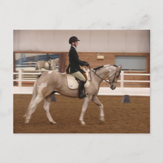 Paint Horse bij een Show Briefkaart (Voorkant)