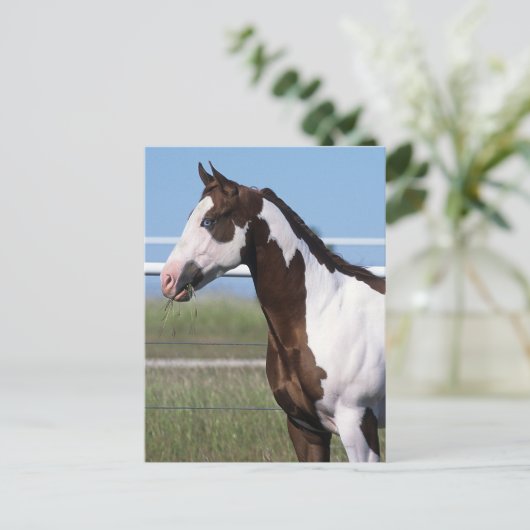 Paint Horse Briefkaart (Staand voorkant)