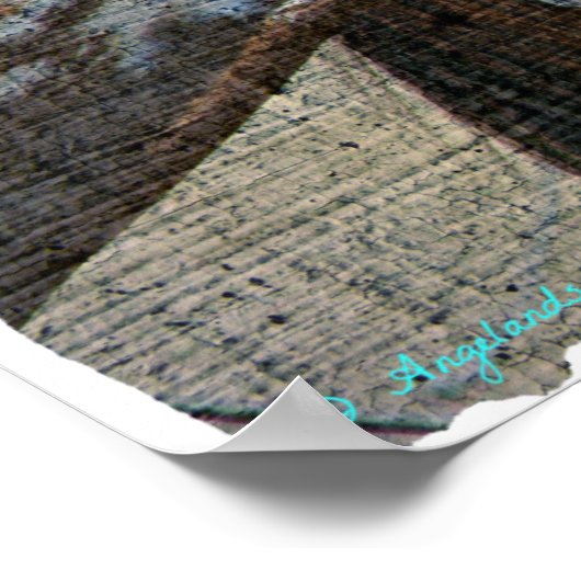 Paint Horse Crackle Poster (Hoek)