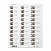 Paint Horse Galoping Art Retouradres Etiket (Full Sheet)