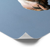 Paint Horse Headshot 1 Poster (Hoek)