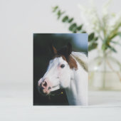 Paint Horse Headshot 3 Briefkaart (Staand voorkant)