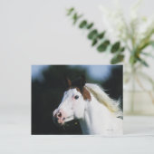 Paint Horse Headshot 3 Briefkaart (Staand voorkant)