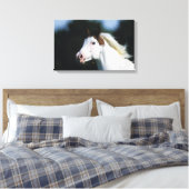 Paint Horse Headshot 3 Canvas Afdruk (Insitu (Slaapkamer))