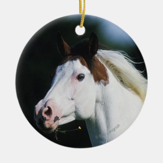 Paint Horse Headshot 3 Keramisch Ornament (Voorkant)