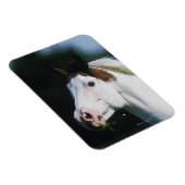 Paint Horse Headshot 3 Magneet (Rechterzijde)