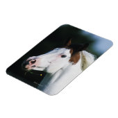Paint Horse Headshot 3 Magneet (Linkerzijde)