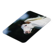 Paint Horse Headshot 3 Magneet (Linkerzijde)