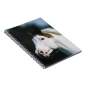 Paint Horse Headshot 3 Notitieboek (Rechterzijde)