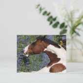 Paint Horse in Field Briefkaart (Staand voorkant)