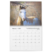 Paint Horse Kalender 2025 Dierenfotografie (Feb 2027)