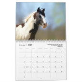 Paint Horse Kalender 2025 Dierenfotografie (Jan 2027)