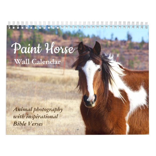 Paint Horse Kalender 2025 Dierenfotografie (Hoes)
