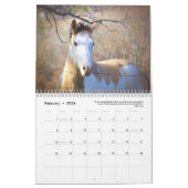 Paint Horse Kalender 2025 Dierenfotografie (Feb 2026)
