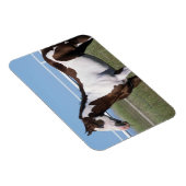 Paint Horse Magneet (Rechterzijde)